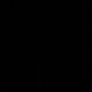 Meet your Posher, Sharee